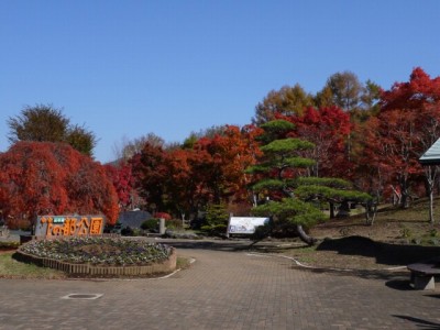 花の都公園の写真9