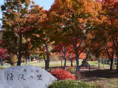 花の都公園の写真42