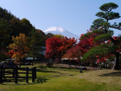 花の都公園の写真18