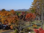 花の都公園の写真のサムネイル写真28