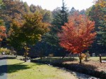 花の都公園の写真のサムネイル写真38