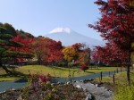 花の都公園の写真のサムネイル写真27