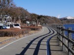 山中湖親水公園の写真のサムネイル写真9