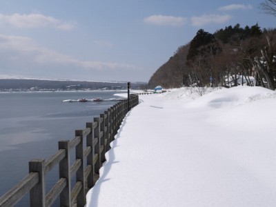 山中湖親水公園の写真2