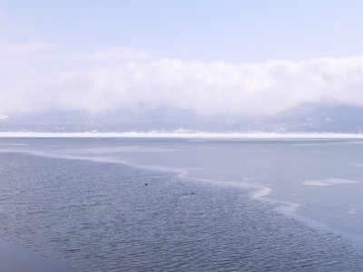 山中湖親水公園の写真3