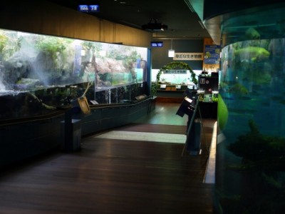山梨県立富士湧水の里水族館の写真