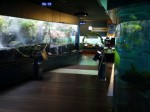 山梨県立富士湧水の里水族館の写真のサムネイル写真1