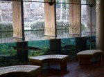 山梨県立富士湧水の里水族館の写真のサムネイル写真4