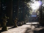 河口浅間神社の写真のサムネイル写真3