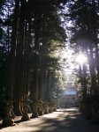 河口浅間神社の写真のサムネイル写真13