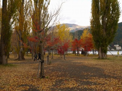 河口湖大池公園の写真6