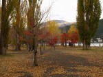 河口湖大池公園の写真のサムネイル写真6