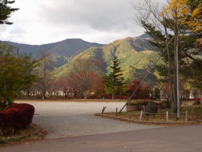 八木崎公園の写真8