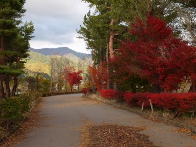 八木崎公園の写真11