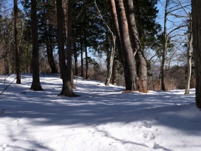 文学の森公園の写真