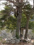 物見台（下部町）の写真のサムネイル写真14