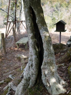 物見台（下部町）の写真7