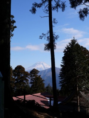 身延山久遠寺 奥の院の写真2