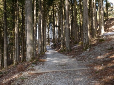 身延山 山頂展望台の写真19