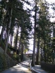 身延山久遠寺の写真のサムネイル写真33