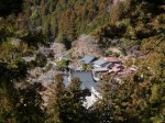 身延山久遠寺の写真のサムネイル写真35