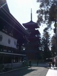 身延山久遠寺の写真のサムネイル写真6