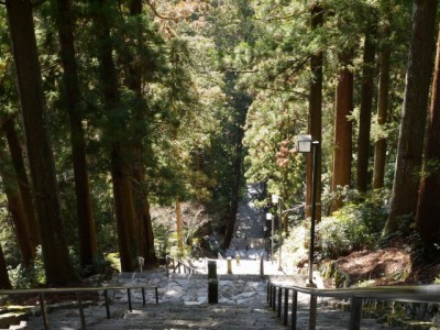 身延山久遠寺の写真31