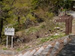 昇仙峡園地（夢の松島・昇仙峡）の写真のサムネイル写真13