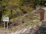 昇仙峡園地（夢の松島・昇仙峡）の写真のサムネイル写真13