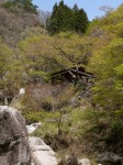 昇仙峡園地（夢の松島・昇仙峡）の写真のサムネイル写真11