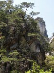 昇仙峡園地（夢の松島・昇仙峡）の写真のサムネイル写真6