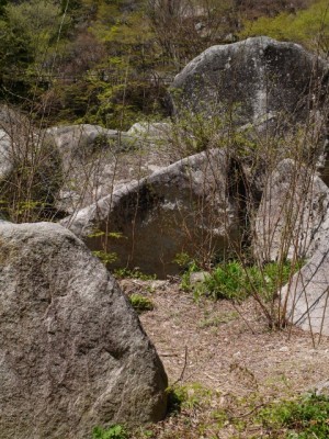 昇仙峡園地（夢の松島・昇仙峡）の写真14