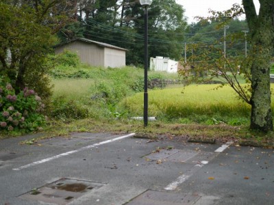 大滝湧水つり堀の写真2