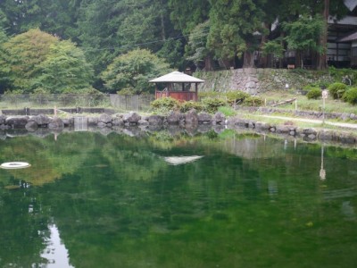 大滝湧水つり堀の写真14