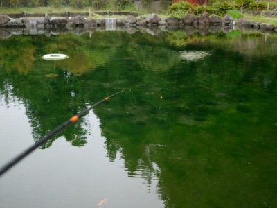 大滝湧水つり堀の写真16