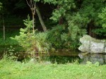 大滝神社の写真のサムネイル写真2