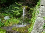 大滝神社の写真のサムネイル写真5