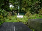 大滝神社の写真のサムネイル写真7