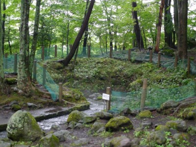 三分一湧水公園の写真12