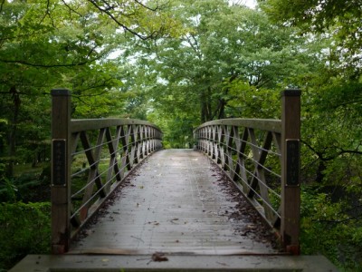 三分一湧水公園の写真21