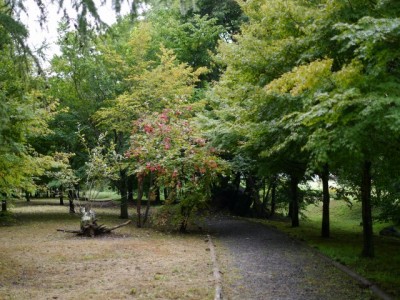 水の里公園の写真4