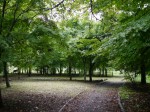 水の里公園の写真のサムネイル写真6