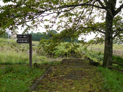 水の里公園の写真8