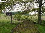 水の里公園の写真のサムネイル写真8