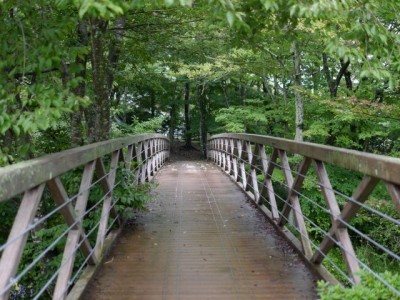 水の里公園の写真16