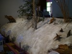 北杜市オオムラサキセンターの写真のサムネイル写真10