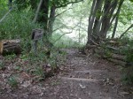 オオムラサキ自然公園の写真のサムネイル写真2